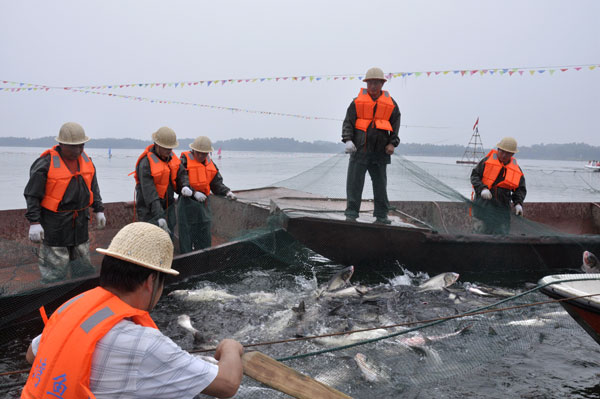 2015年信阳南湾湖第三届开渔节震撼开幕