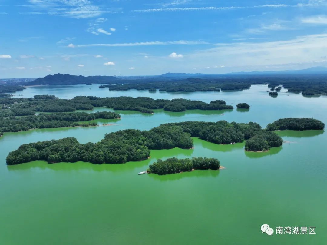 信阳南湾风景区高分楼盘的最新现场美图，速来围观！-信阳房天下